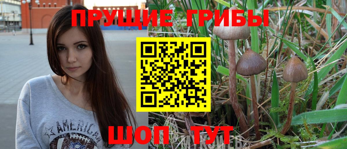Псилоцибиновые грибы Cubensis  Вход с VPN  Унеча 